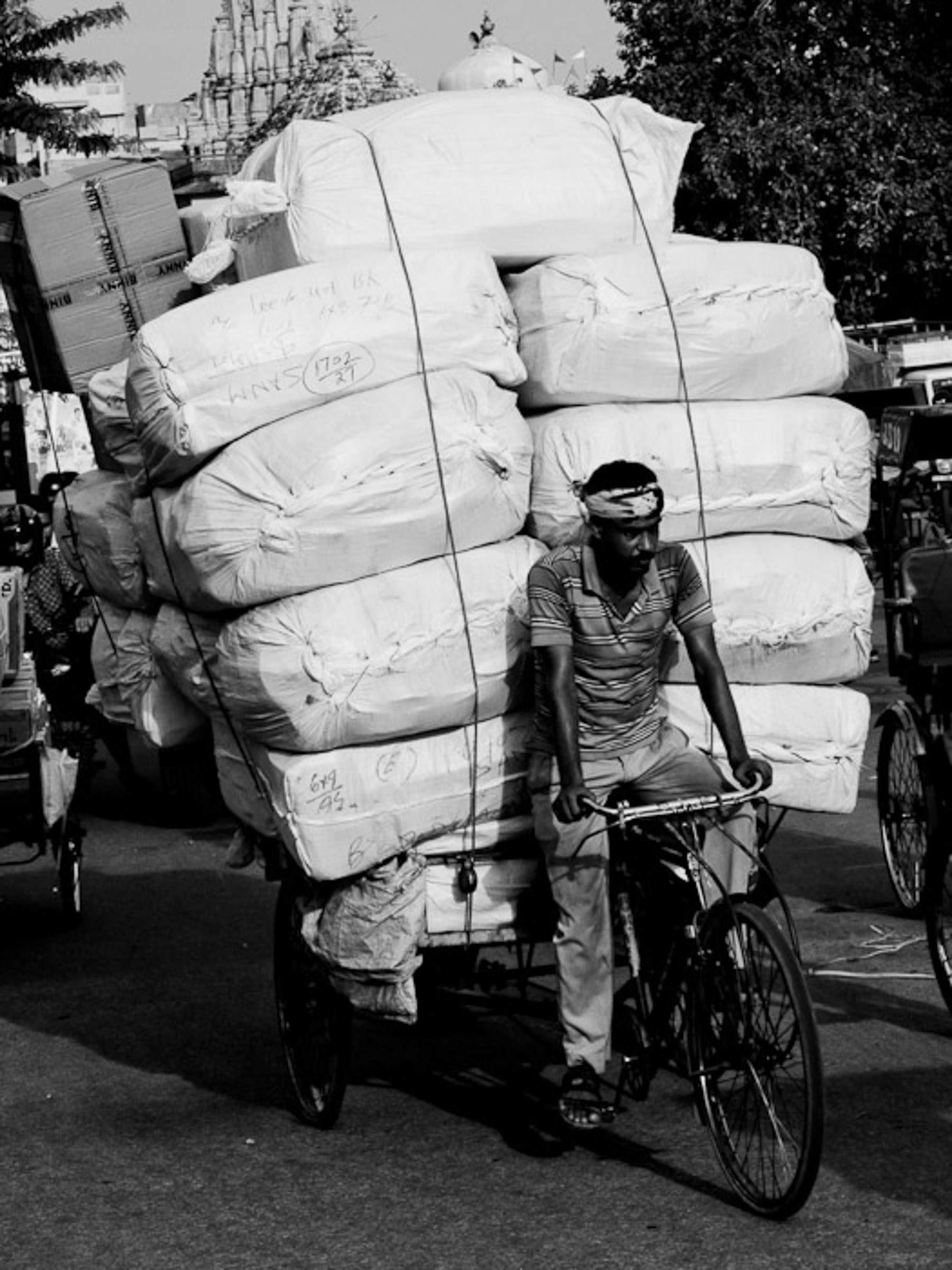 299216 3999139 india bicycle